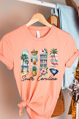 US3001-E3061SC South Carolina State Brushstroke Graphic Tee $12.5