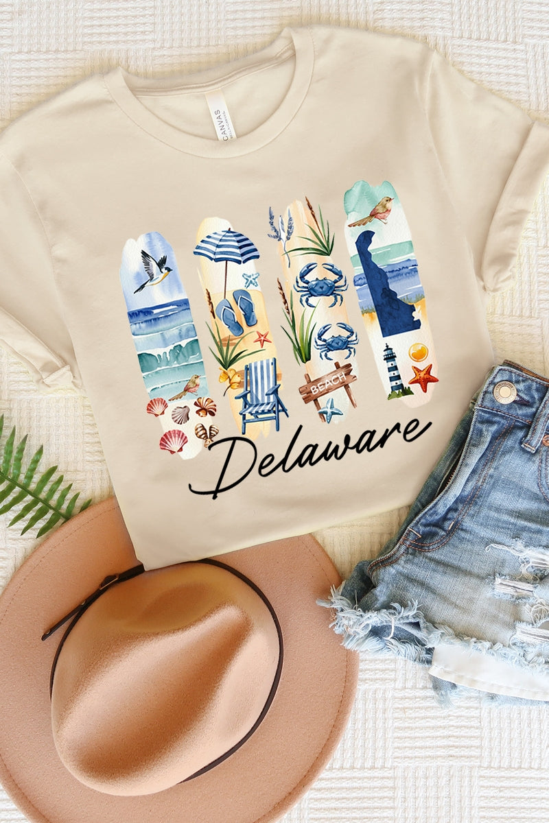 US3001P-E3061DE Delaware State Brushstroke Graphic Plus Tee $16