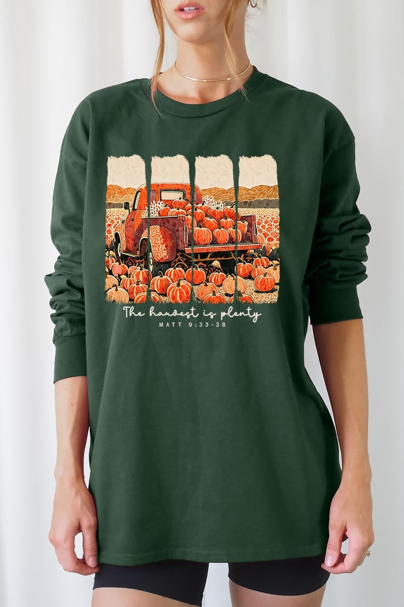 UL240P-E3172 Harvest Is Plenty Graphic Plus Long Sleeve Tee $17