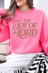 UL180P-E3179 Joy of the Lord Graphic Plus Sweatshirt $25