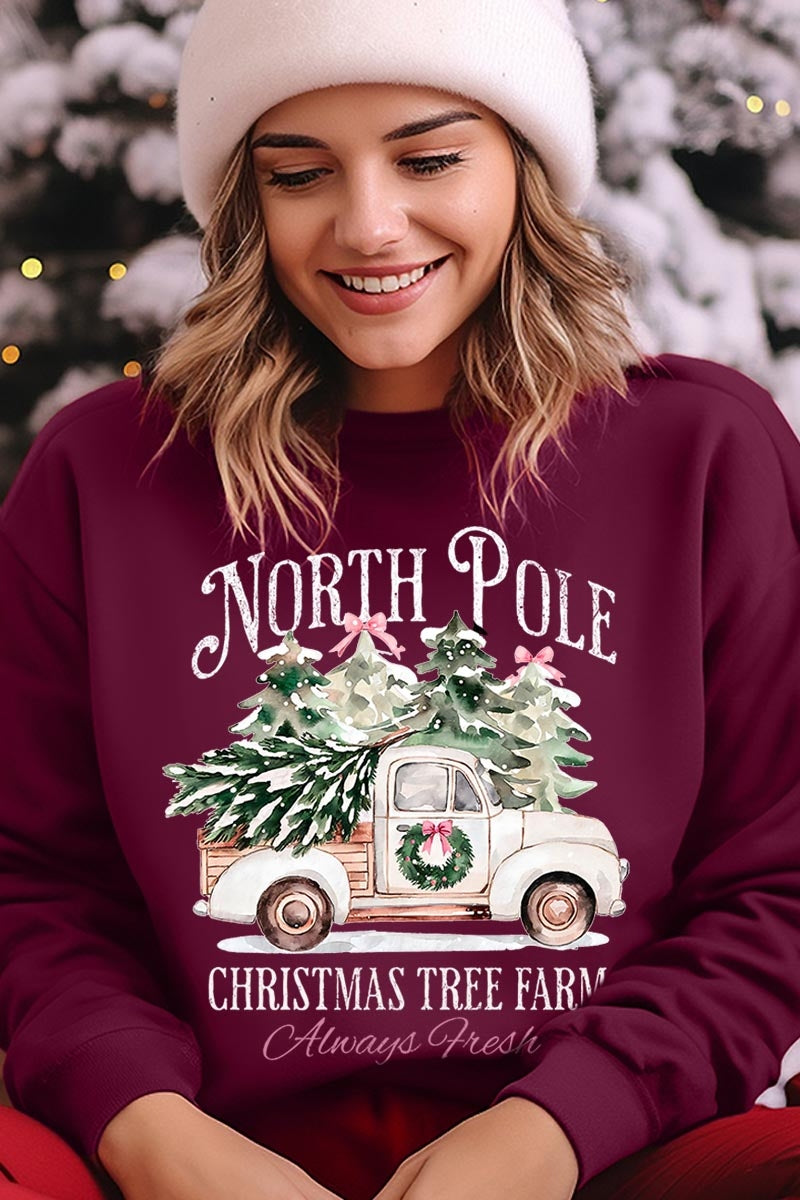 UL180-E3174 North Pole Christmas Graphic Sweatshirt $20
