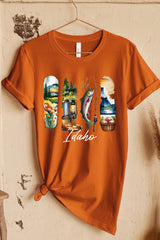 US3001P-E3061ID Idaho State Brushstroke Graphic Plus Tee $16