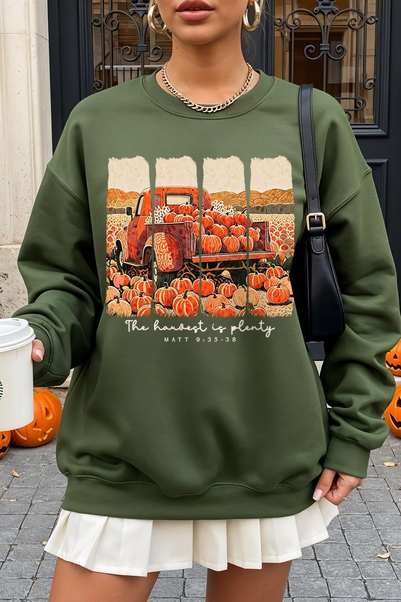 UL180-E3172 Harvest Is Plenty Graphic Sweatshirt $20