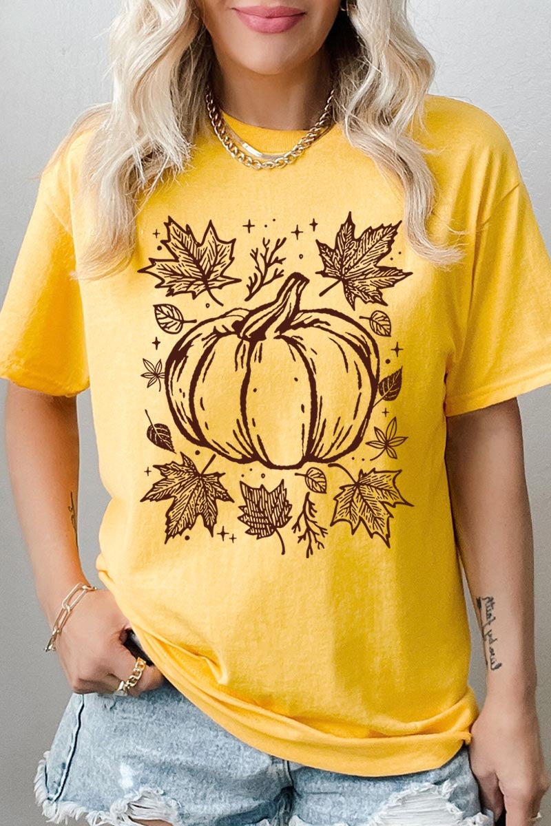 5000P-E3162 Fall Pumpkin Graphic Plus Heavy Cotton Tee $12.75