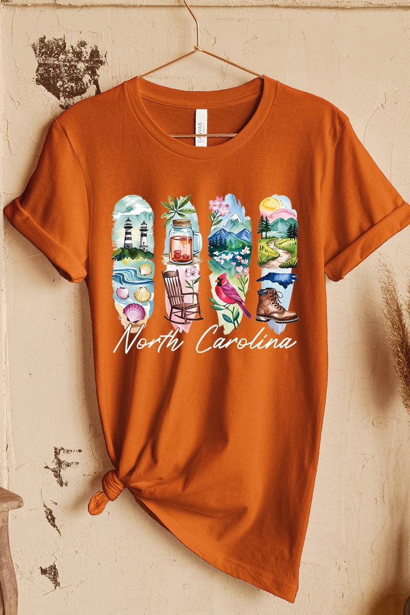 US3001P-E3061NC North Carolina State Brushstroke Graphic Plus Tee $16