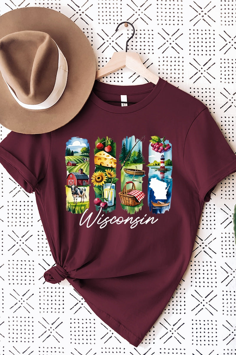 US3001-E3061WI Wisconsin State Brushstroke Graphic Tee $12.5