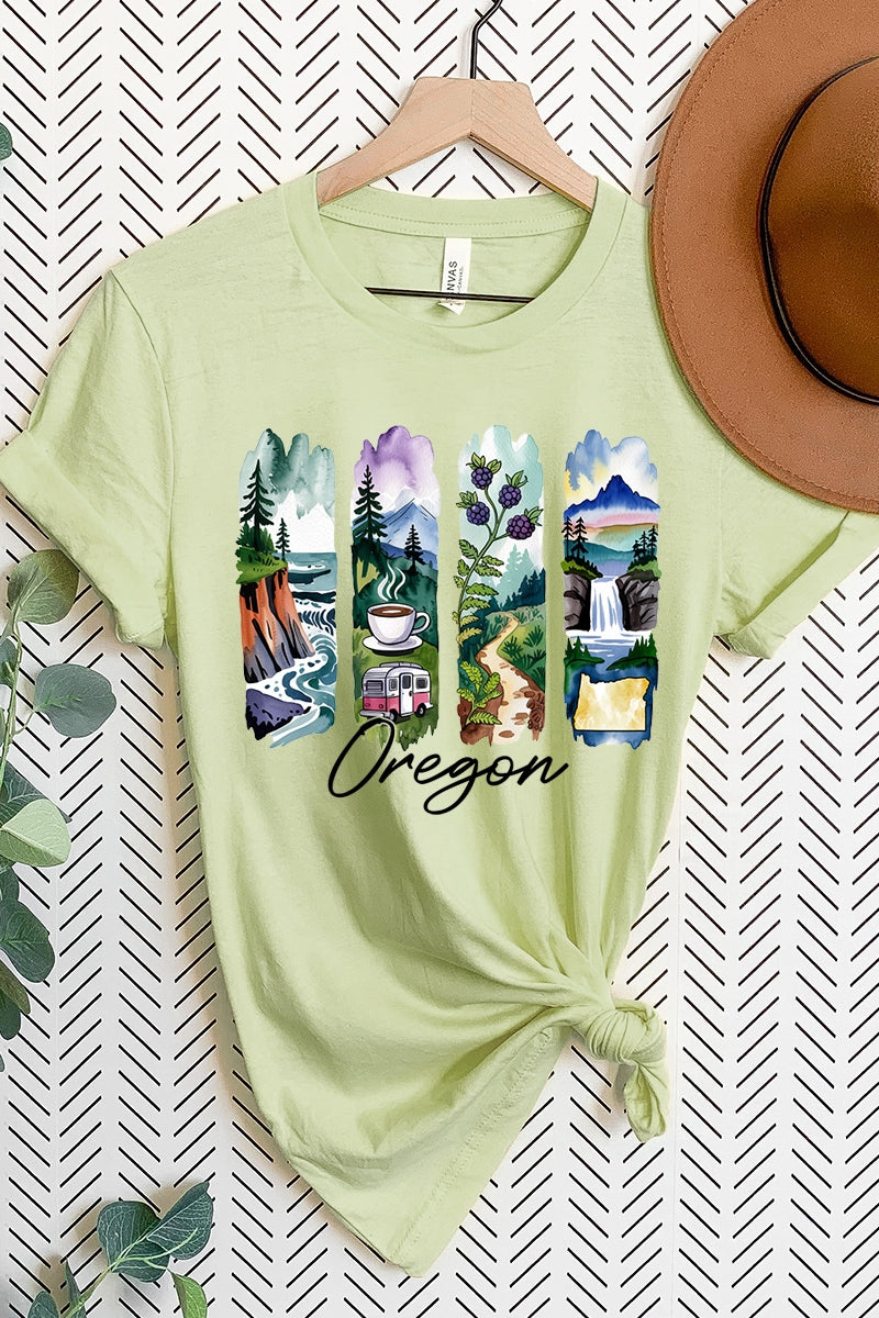 US3001P-E3061OR Oregon State Brushstroke Graphic Plus Tee $16