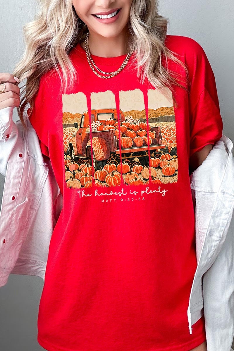 5000P-E3172 Harvest Is Plenty Graphic Plus Heavy Cotton Tee $12.75