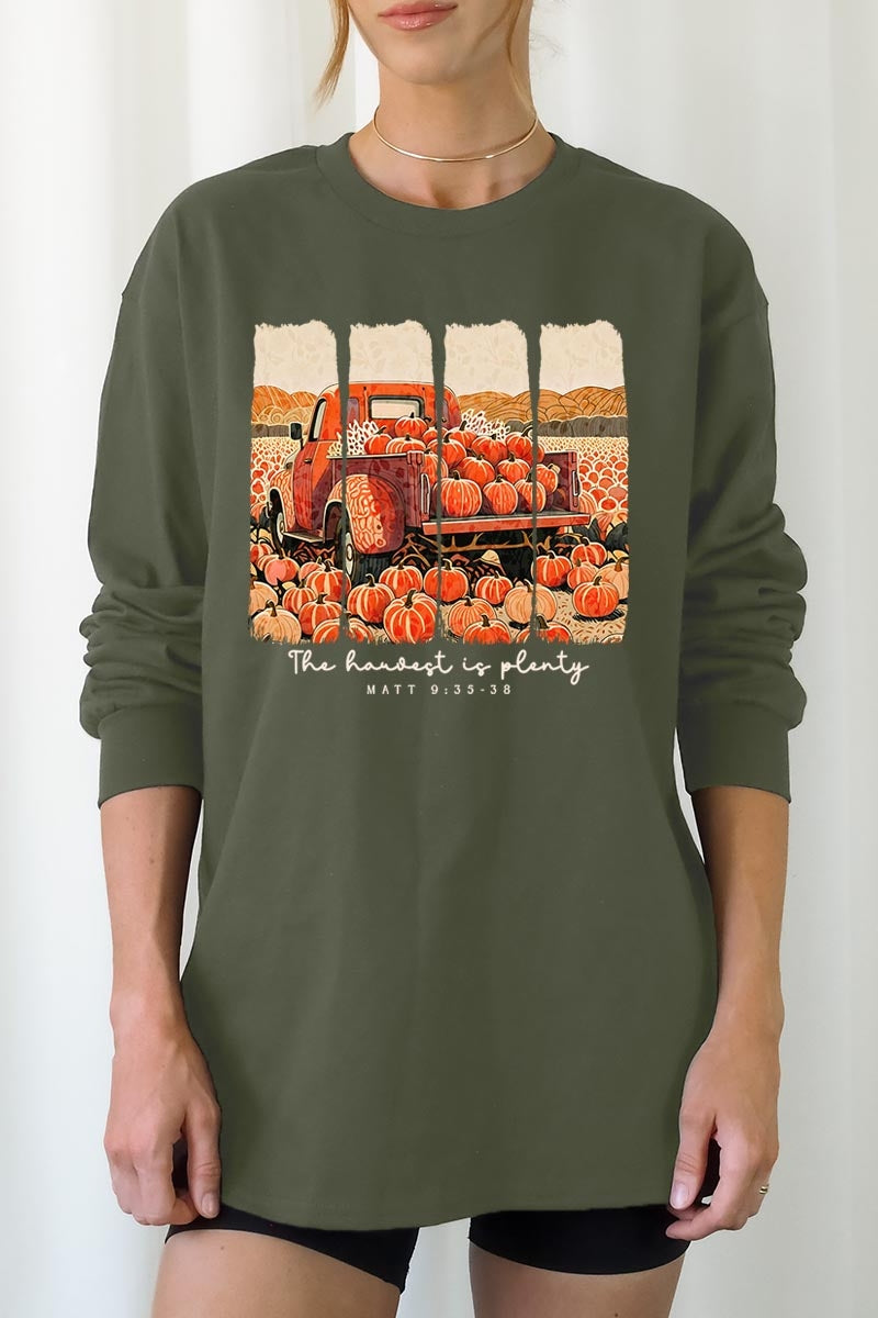 UL240P-E3172 Harvest Is Plenty Graphic Plus Long Sleeve Tee $17