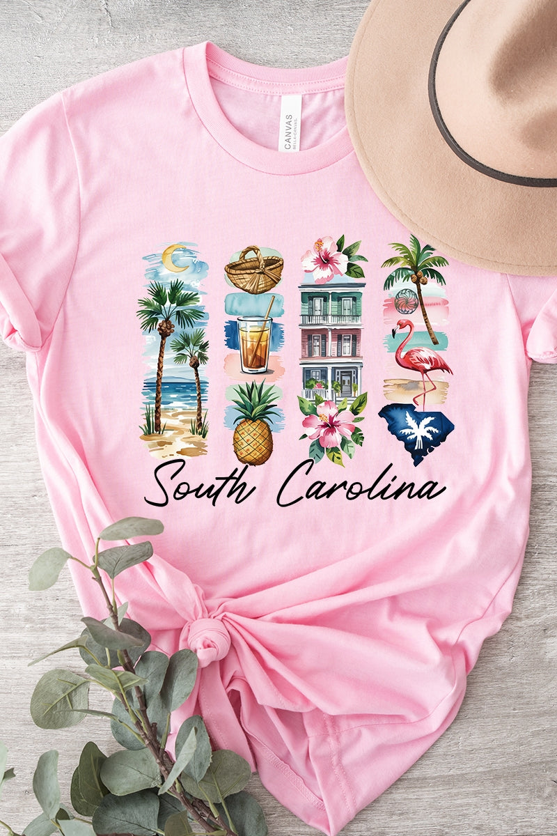 US3001P-E3061SC South Carolina State Brushstroke Graphic Plus Tee $16