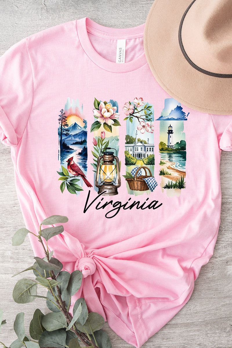 US3001-E3061VA Virginia State Brushstroke Graphic Tee $12.5