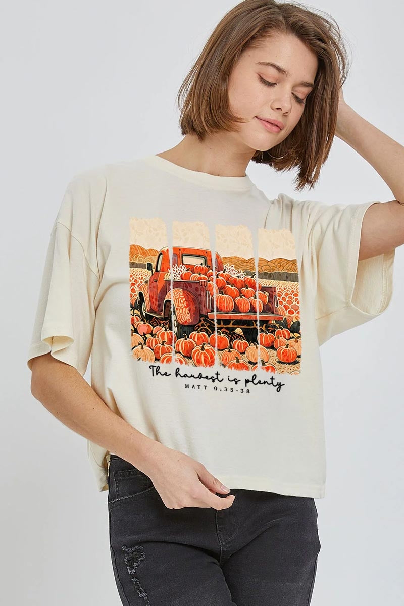 CTS-E3172 Harvest Is Plenty Graphic Relaxed Crop Top $11