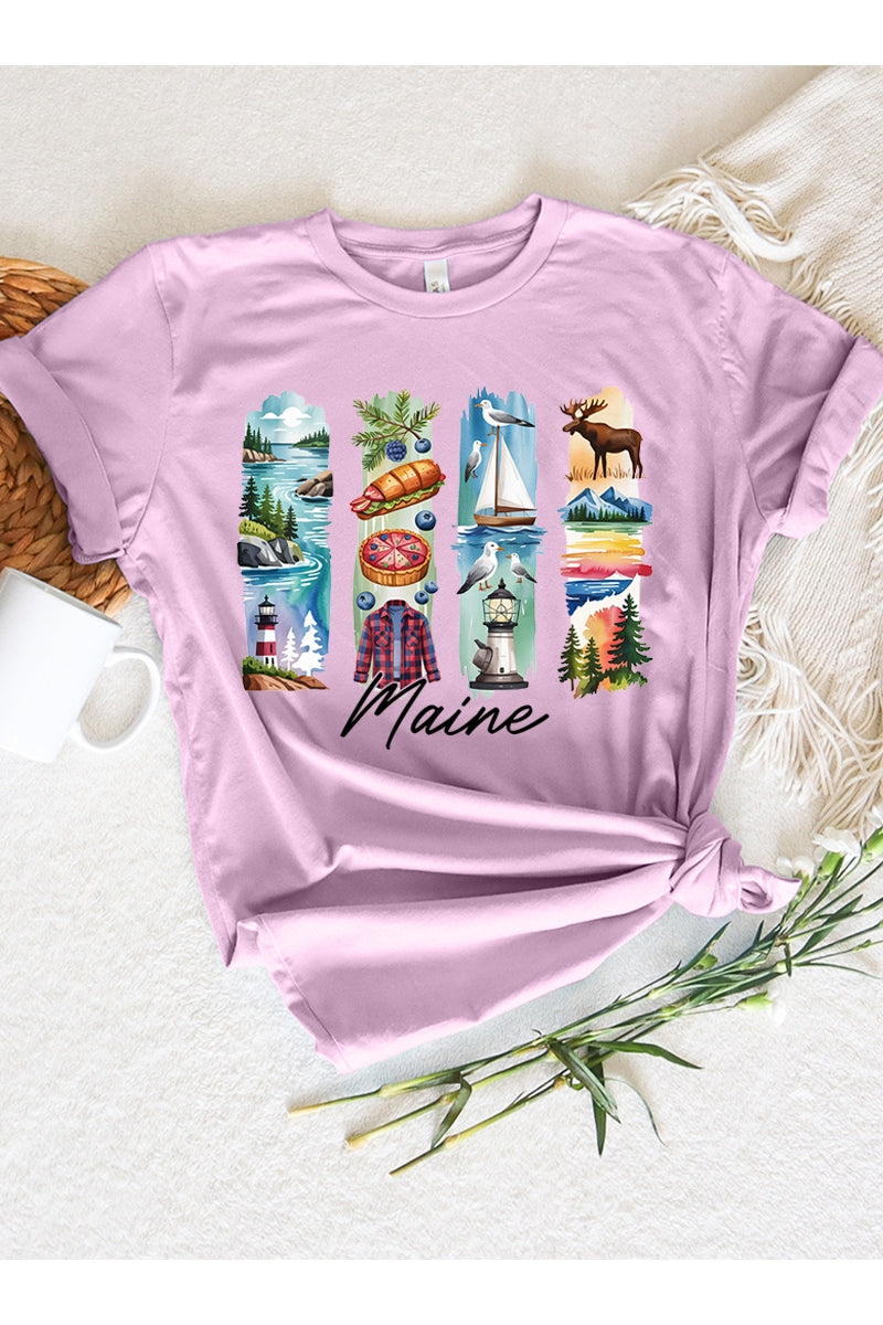 US3001P-E3061ME Maine State Brushstroke Graphic Plus Tee $16