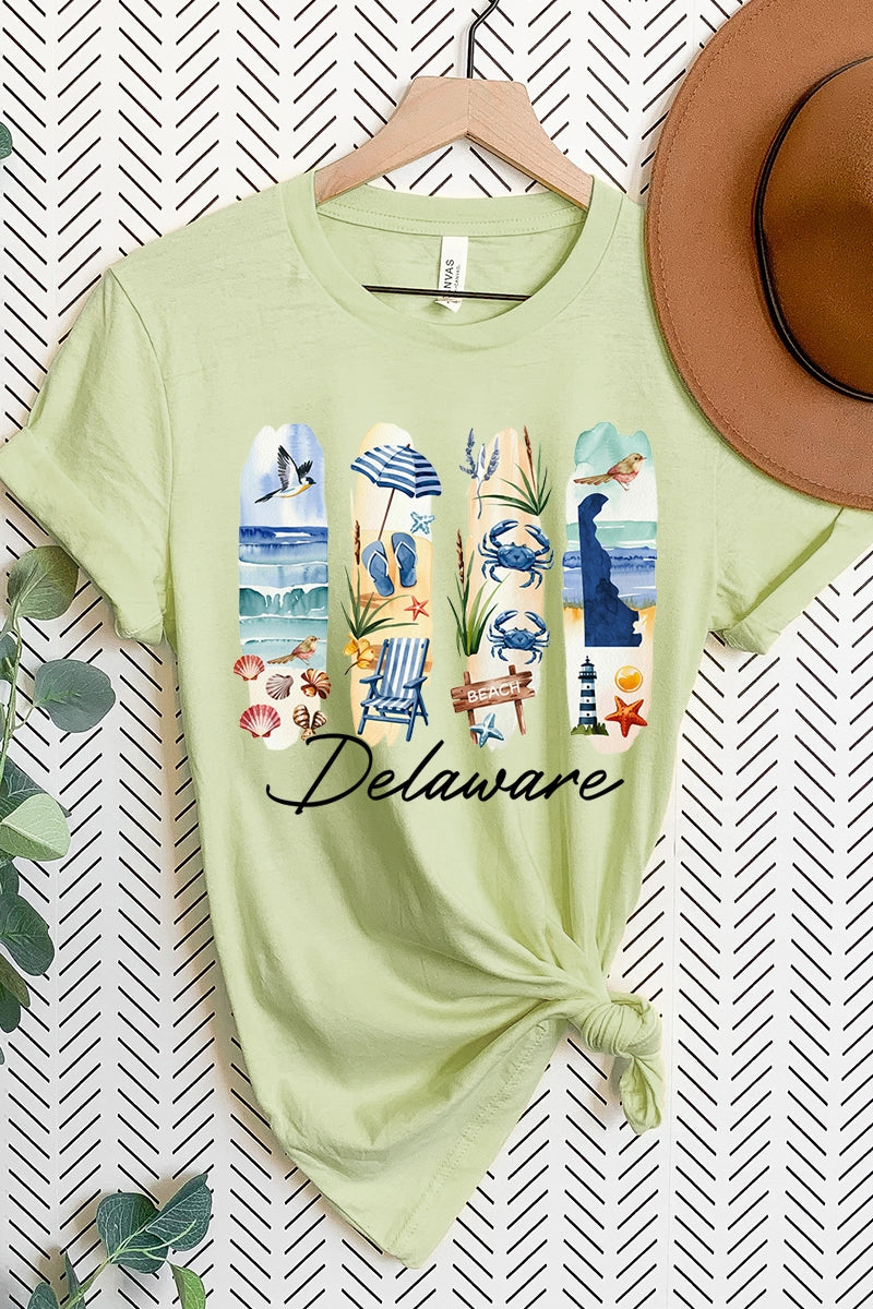 US3001P-E3061DE Delaware State Brushstroke Graphic Plus Tee $16