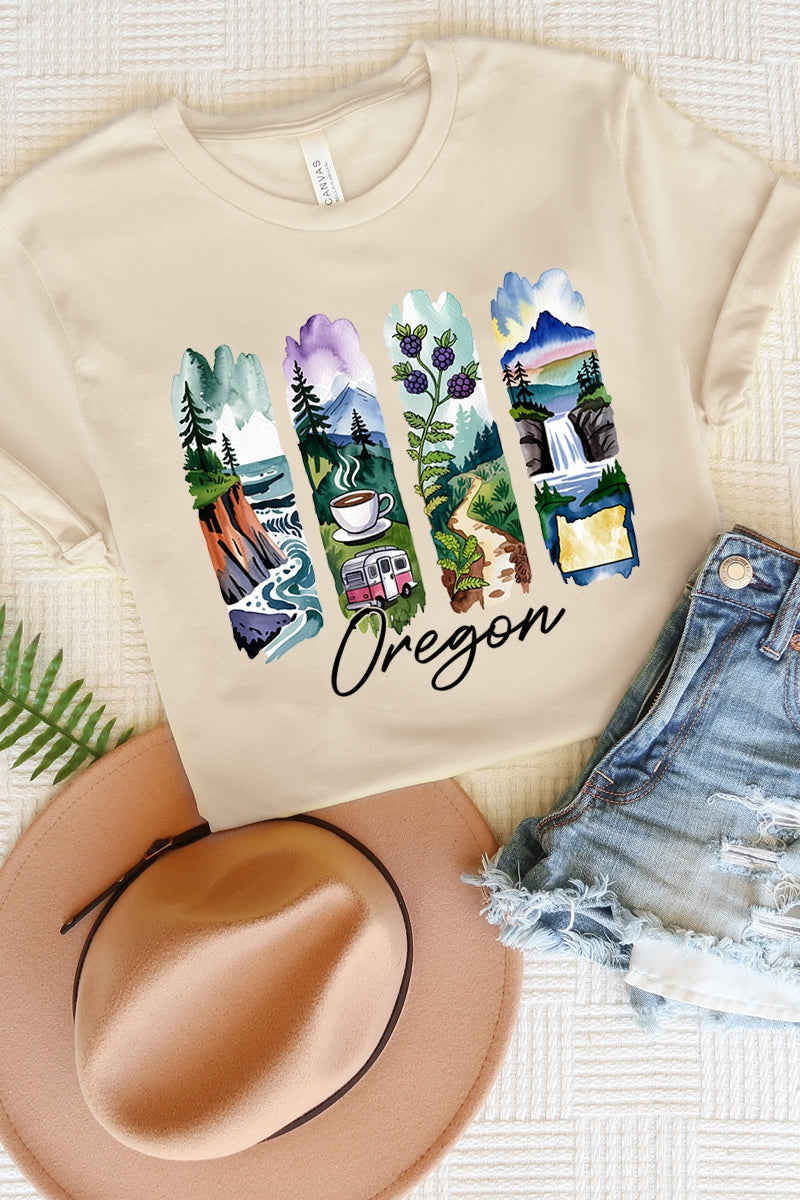 US3001P-E3061OR Oregon State Brushstroke Graphic Plus Tee $16