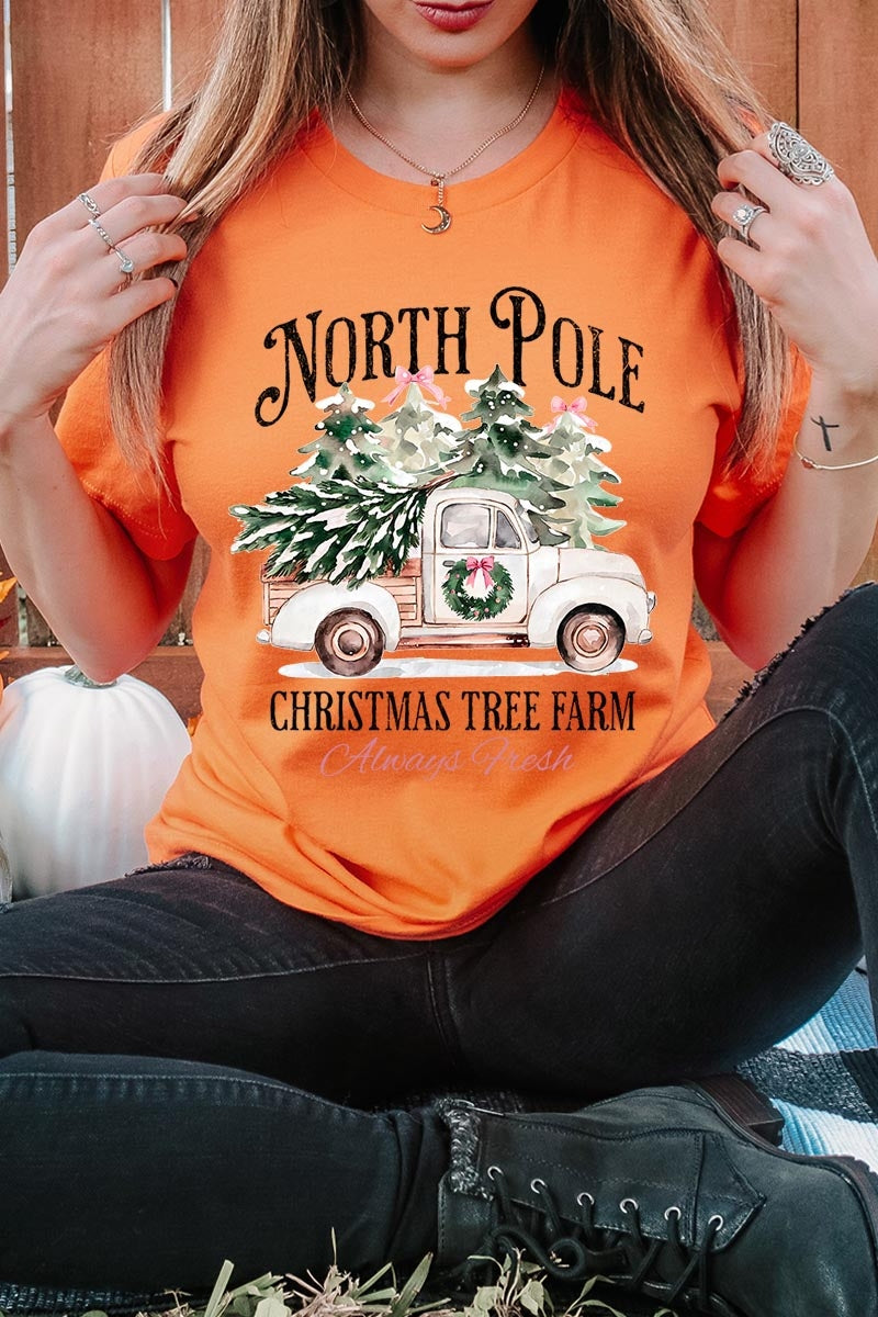US3001-E3174 North Pole Christmas Graphic Tee $12.5