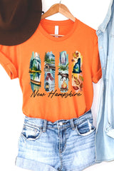 US3001P-E3061NH New Hampshire State Brushstroke Graphic Plus Tee $16