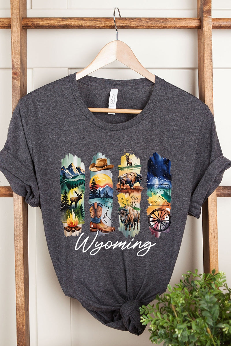 US3001P-E3061WY Wyoming State Brushstroke Graphic Plus Tee $16
