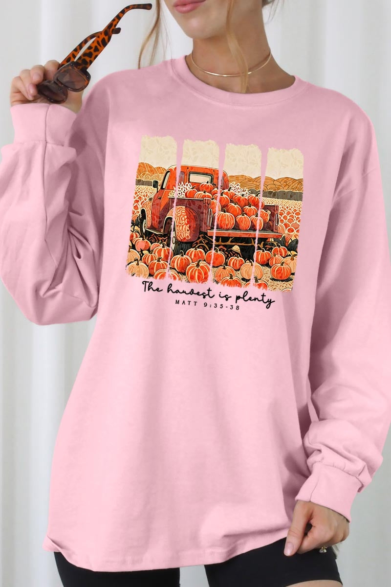 UL240P-E3172 Harvest Is Plenty Graphic Plus Long Sleeve Tee $17