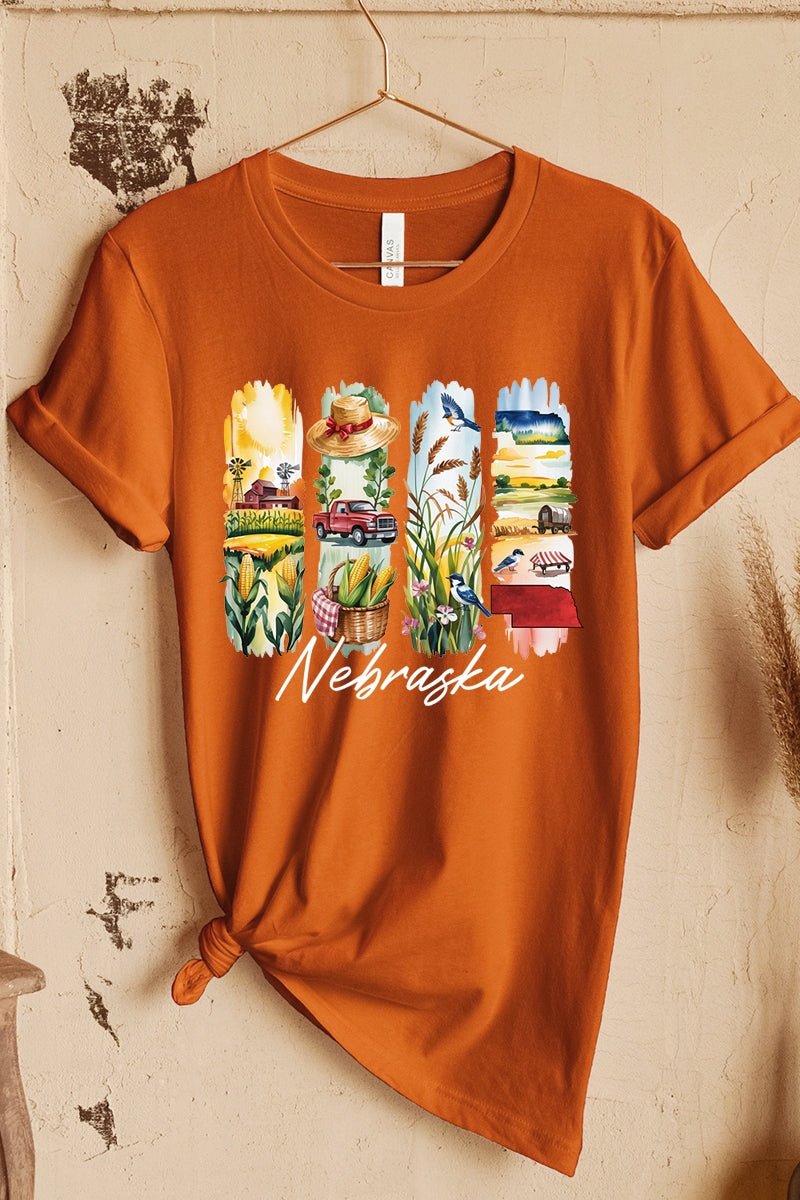 US3001P-E3061NE Nebraska State Brushstroke Graphic Plus Tee $16