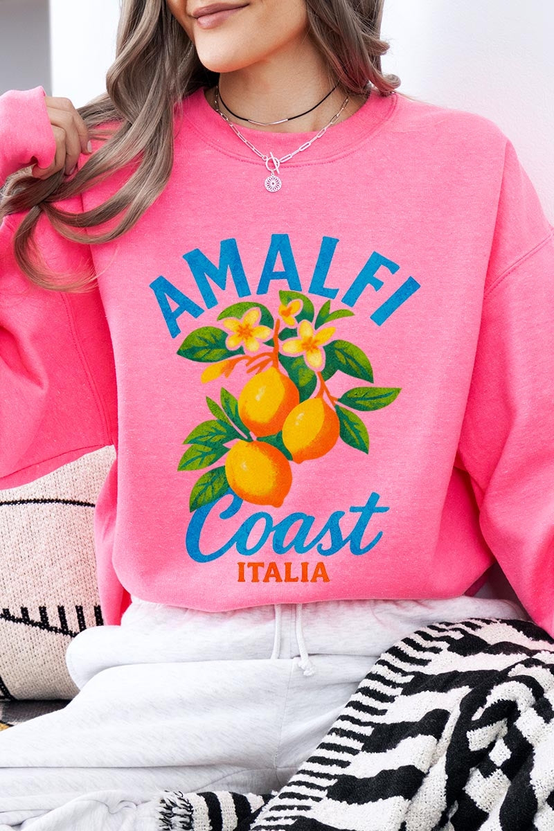 UL180-E3470 America 250 Gingham Graphic Sweatshirt $20