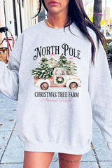 UL180-E3174 North Pole Christmas Graphic Sweatshirt $20