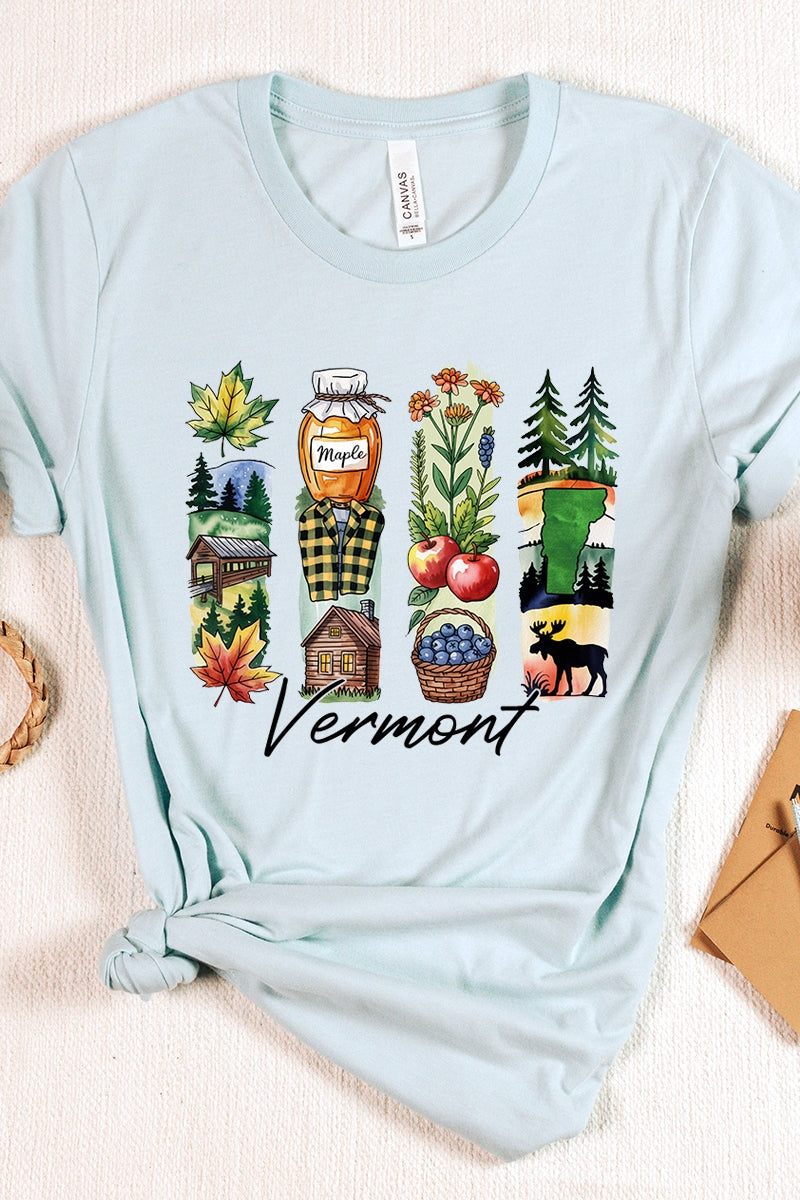 US3001P-E3061VT Vermont State Brushstroke Graphic Plus Tee $16