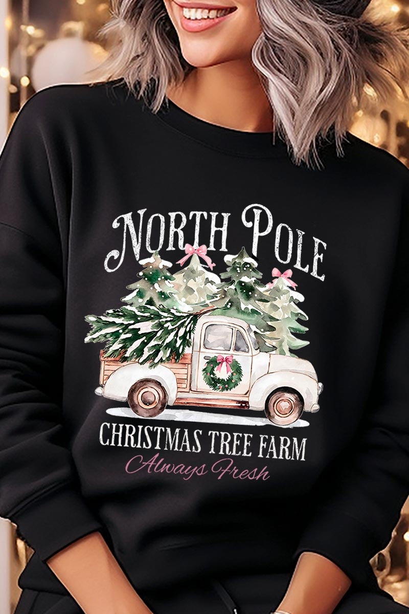 UL180P-E3174 North Pole Christmas Graphic Plus Sweatshirt $25