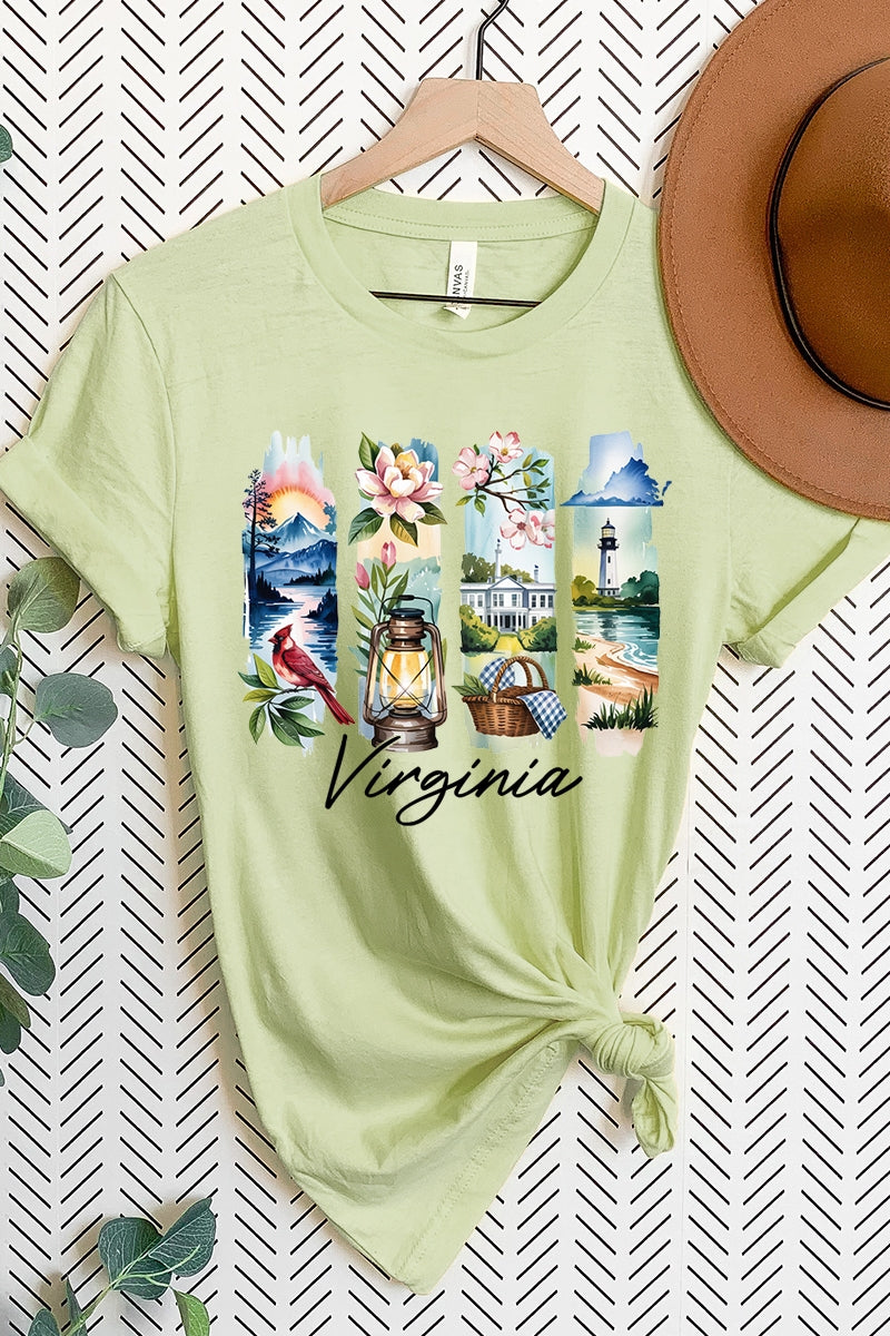 US3001-E3061VA Virginia State Brushstroke Graphic Tee $12.5
