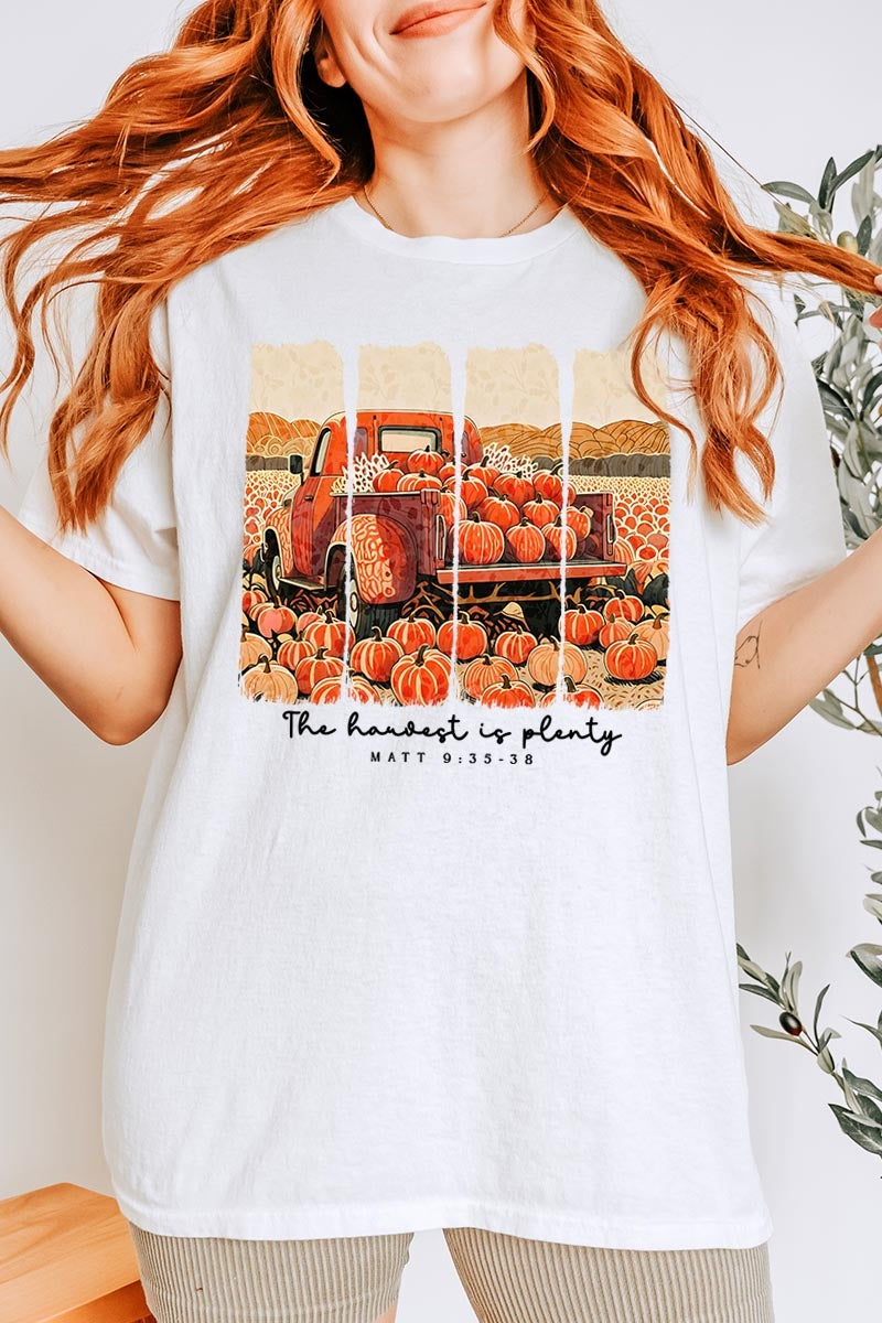 5000P-E3172 Harvest Is Plenty Graphic Plus Heavy Cotton Tee $12.75
