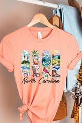 US3001-E3061NC North Carolina State Brushstroke Graphic Tee $12.5