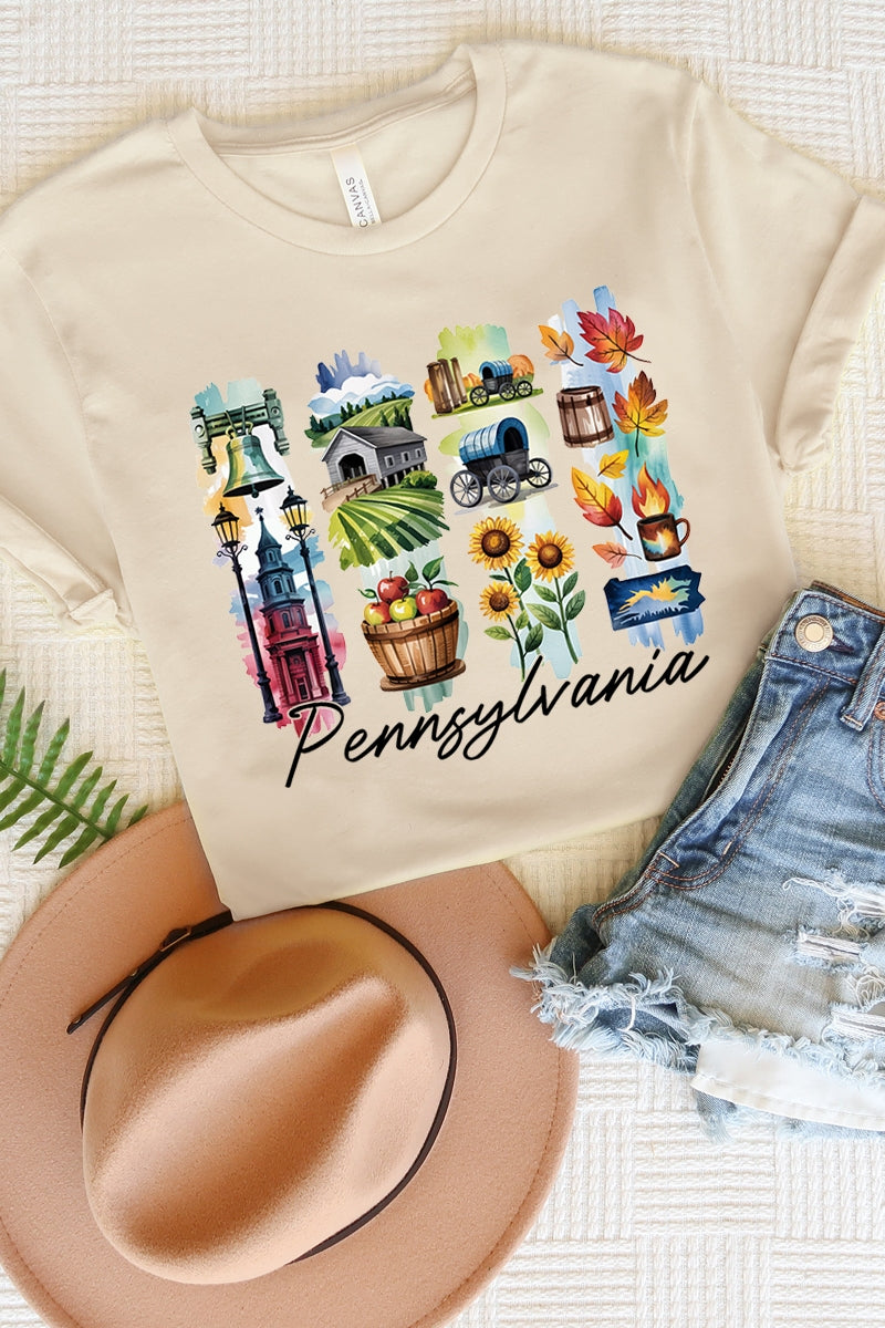 US3001-E3061PA Pennsylvania State Brushstroke Graphic Tee $12.5