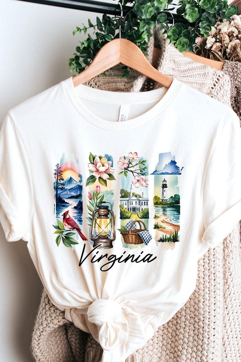 US3001P-E3061VA Virginia State Brushstroke Graphic Plus Tee $16