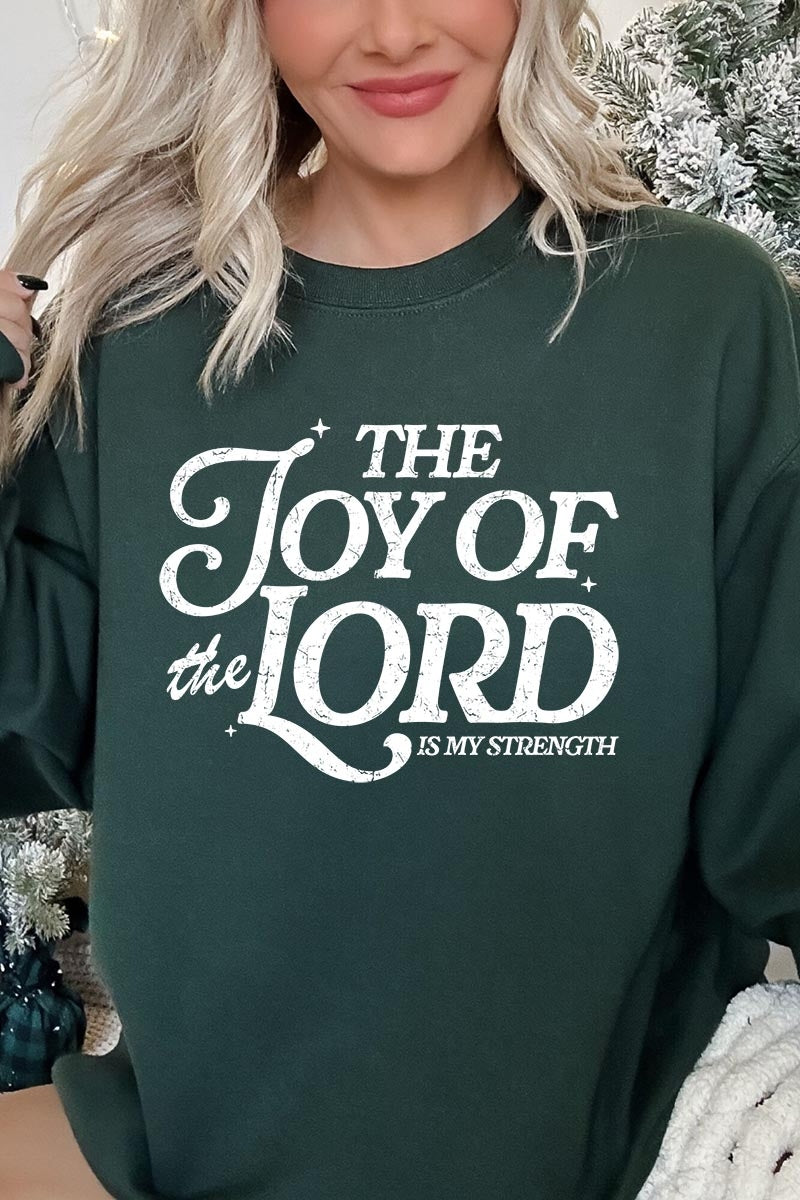 UL180-E3179 Joy of the Lord Graphic Sweatshirt $20