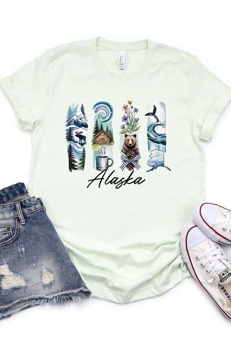 US3001P-E3061AK Alaska State Brushstroke Graphic Plus Tee $16
