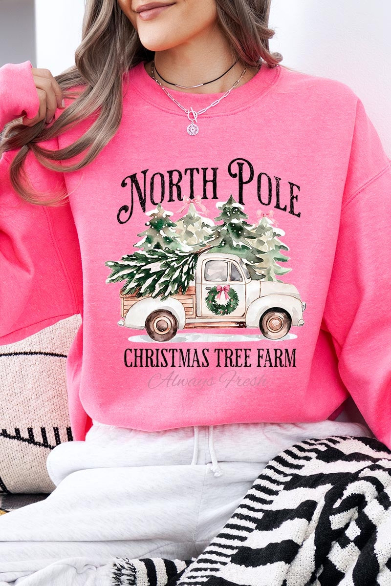 UL180-E3174 North Pole Christmas Graphic Sweatshirt $20