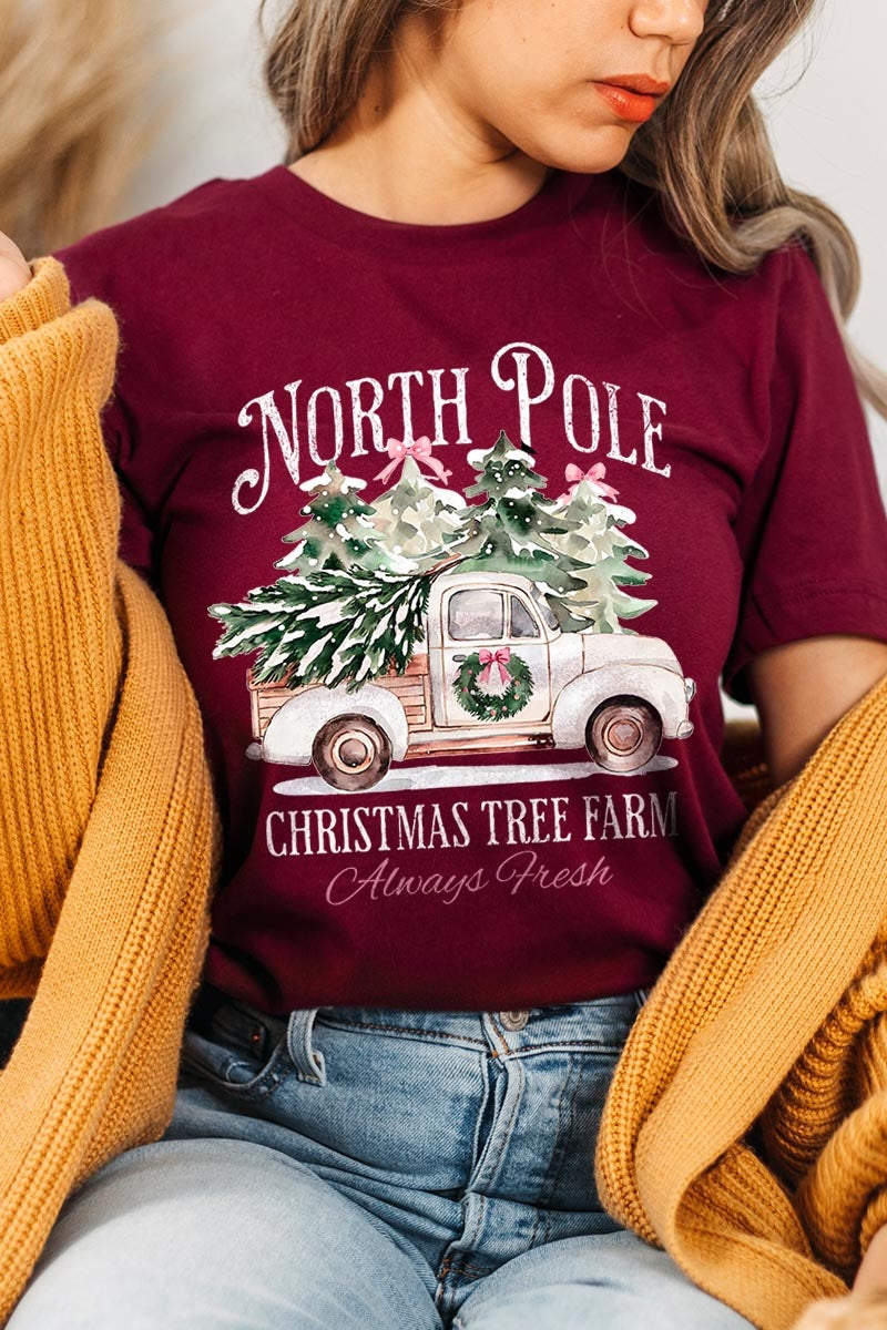 US3001P-E3174 North Pole Christmas Graphic Plus Tee $16