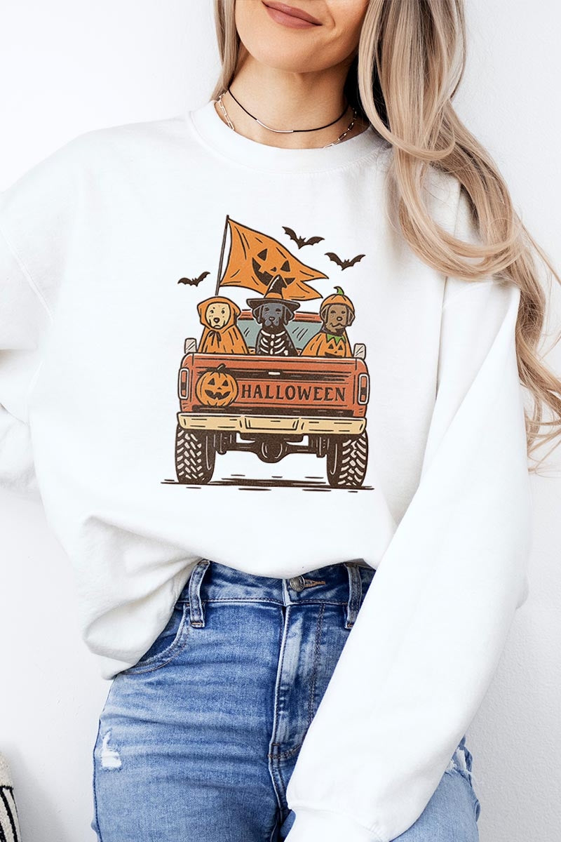 UL180P-E3150 Halloween Truck Dogs Graphic Plus Sweatshirt $25