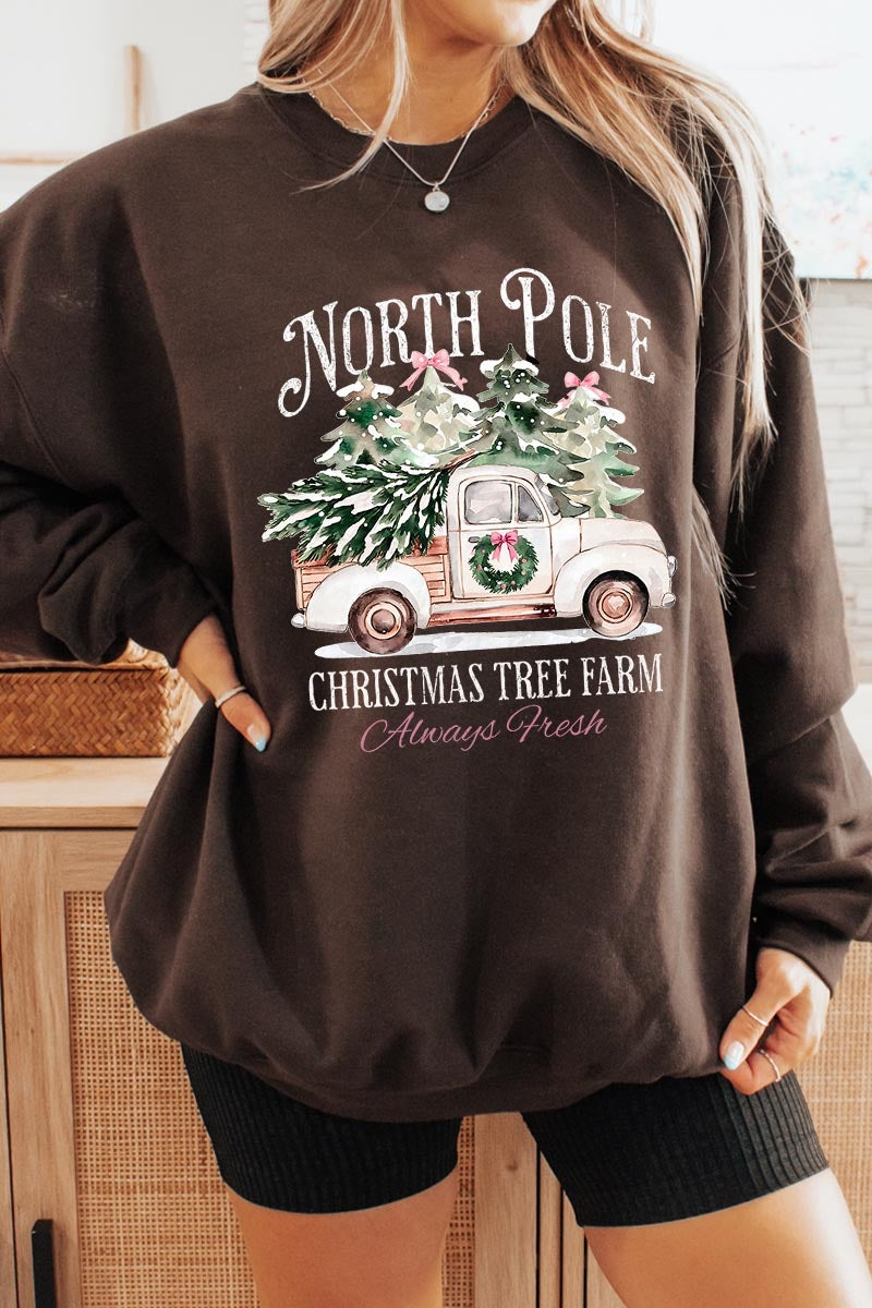 UL180-E3174 North Pole Christmas Graphic Sweatshirt $20