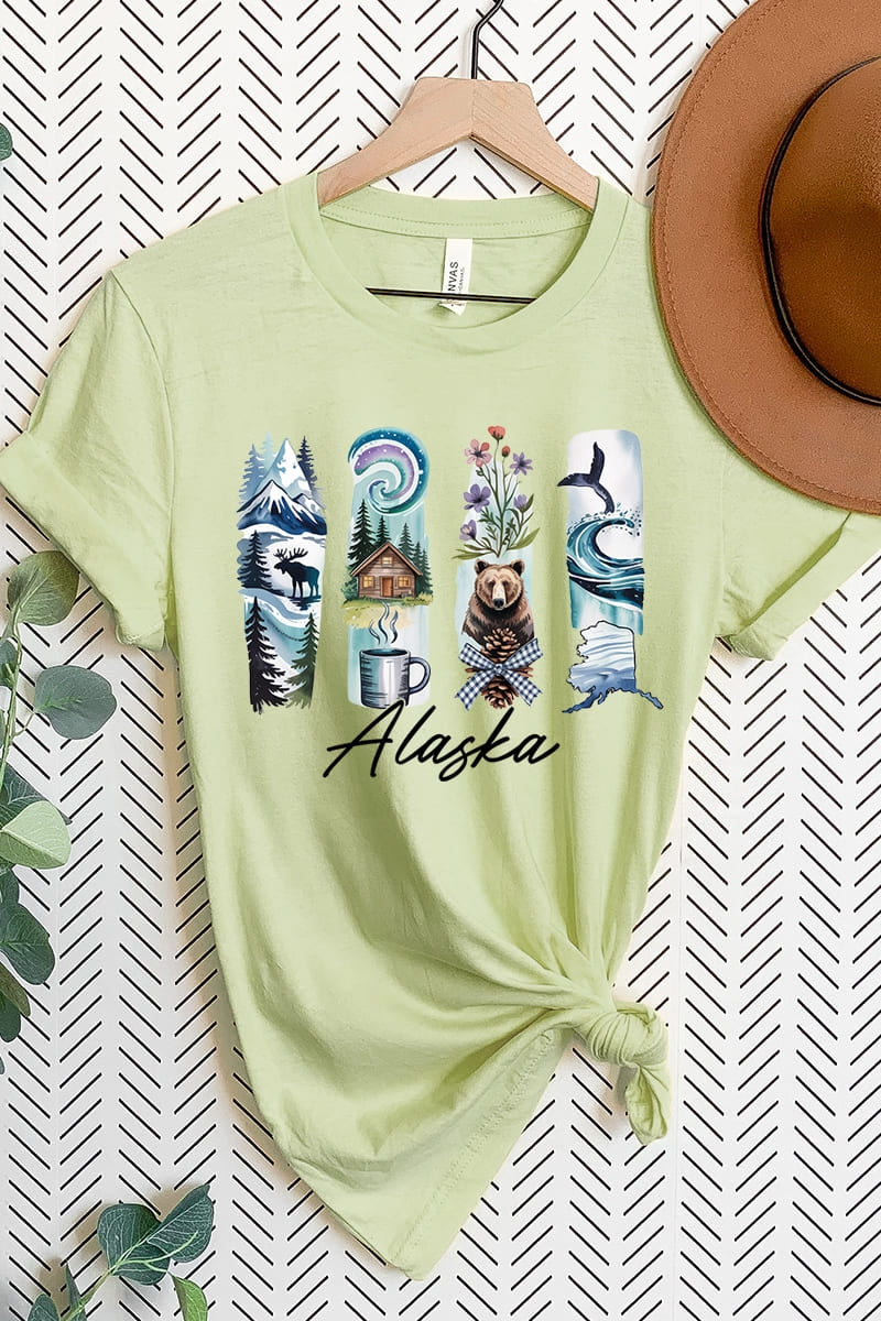 US3001P-E3061AK Alaska State Brushstroke Graphic Plus Tee $16