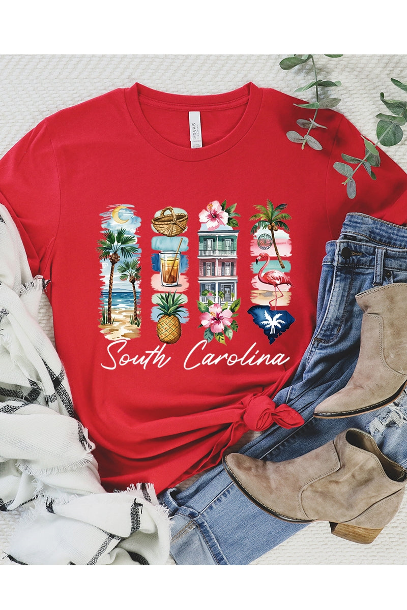 US3001P-E3061SC South Carolina State Brushstroke Graphic Plus Tee $16