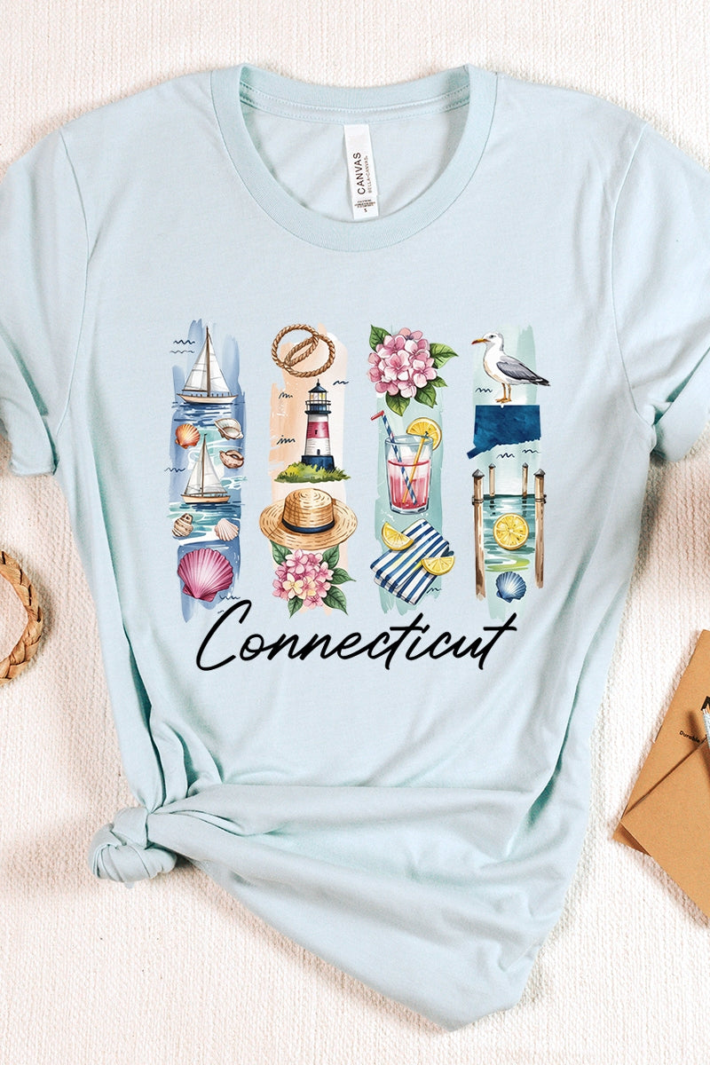 US3001P-E3061CT Connecticut State Brushstroke Graphic Plus Tee $16