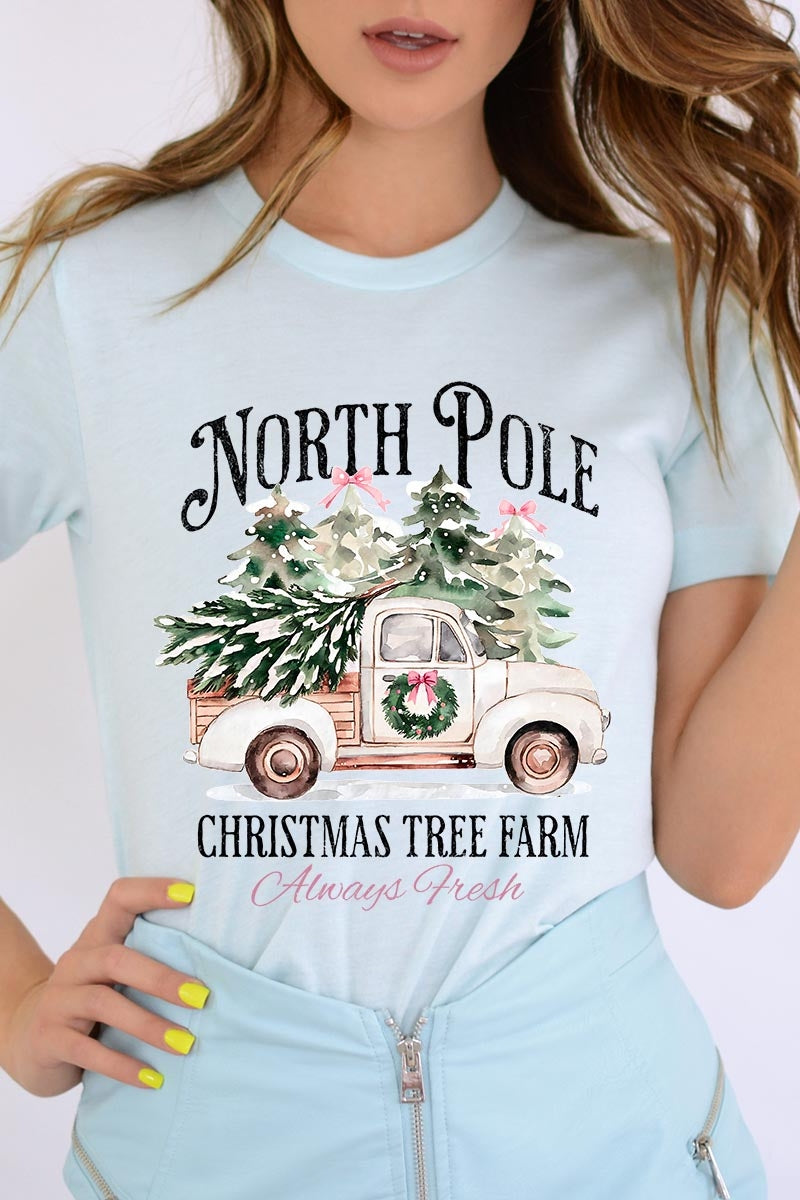 US3001P-E3174 North Pole Christmas Graphic Plus Tee $16
