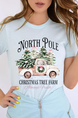 US3001P-E3174 North Pole Christmas Graphic Plus Tee $16