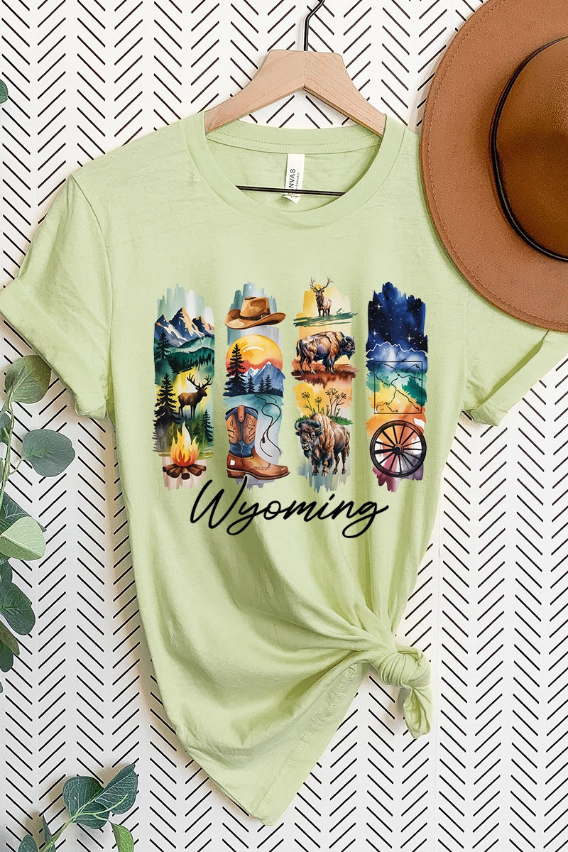 US3001P-E3061WY Wyoming State Brushstroke Graphic Plus Tee $16