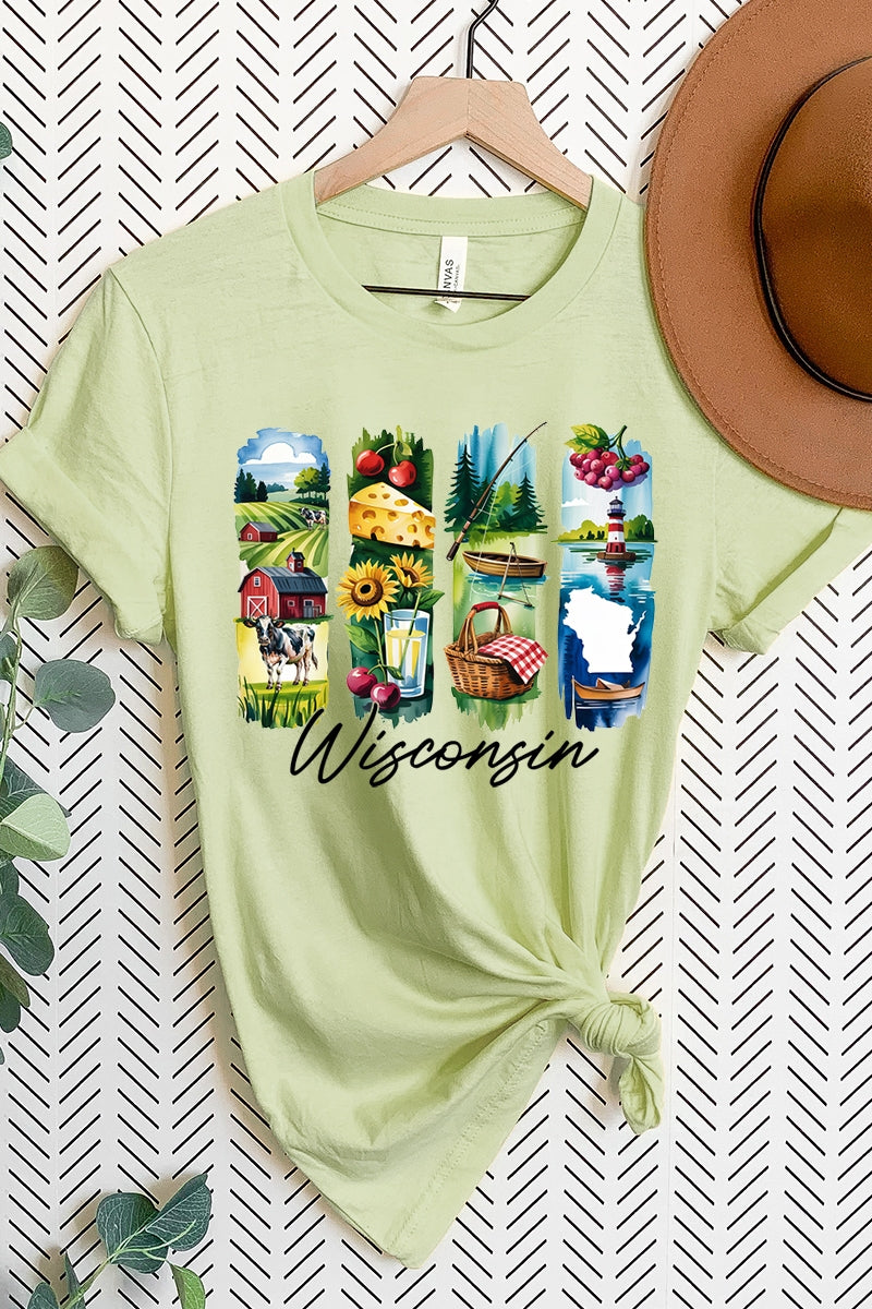 US3001P-E3061WI Wisconsin State Brushstroke Graphic Plus Tee $16