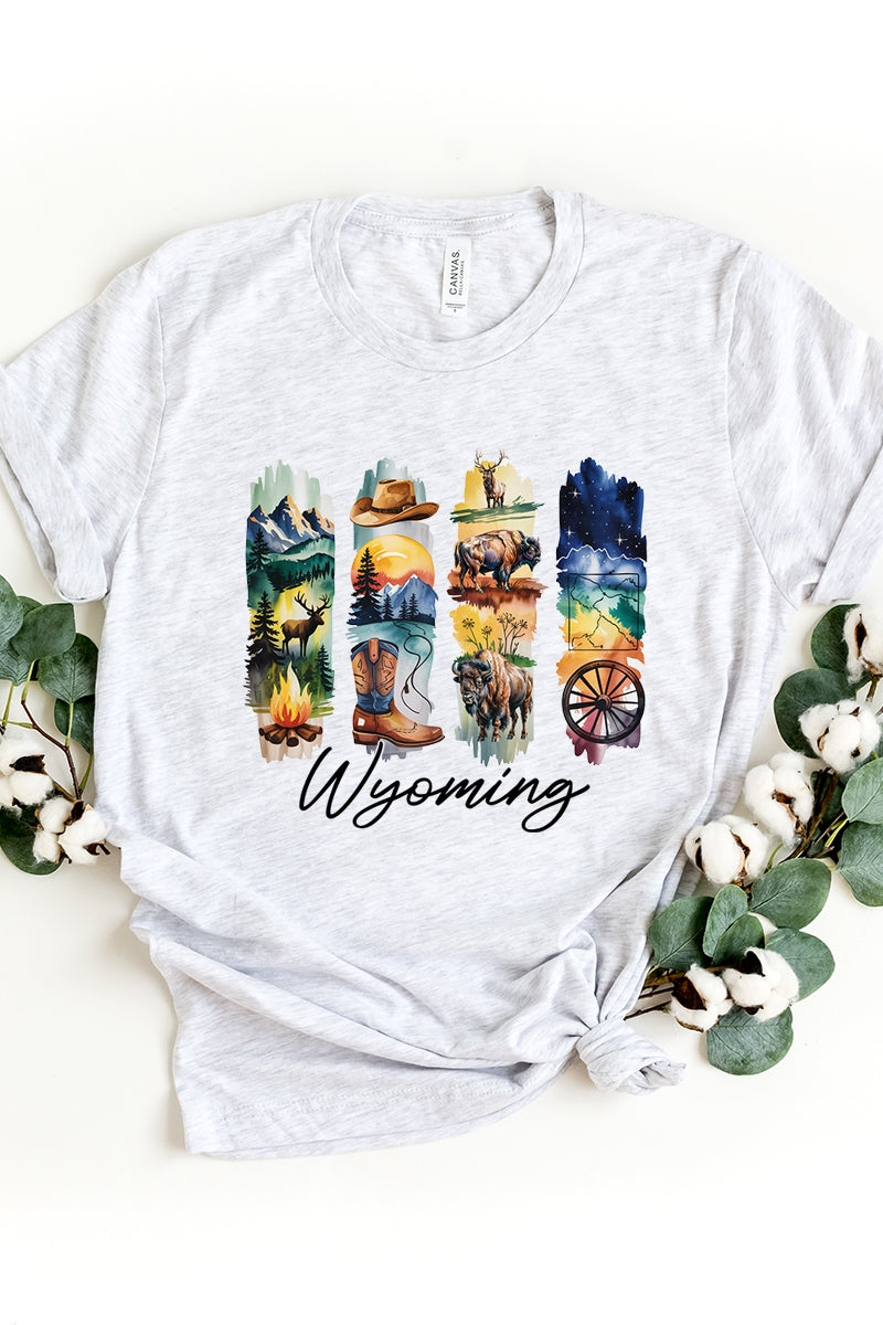 US3001P-E3061WY Wyoming State Brushstroke Graphic Plus Tee $16