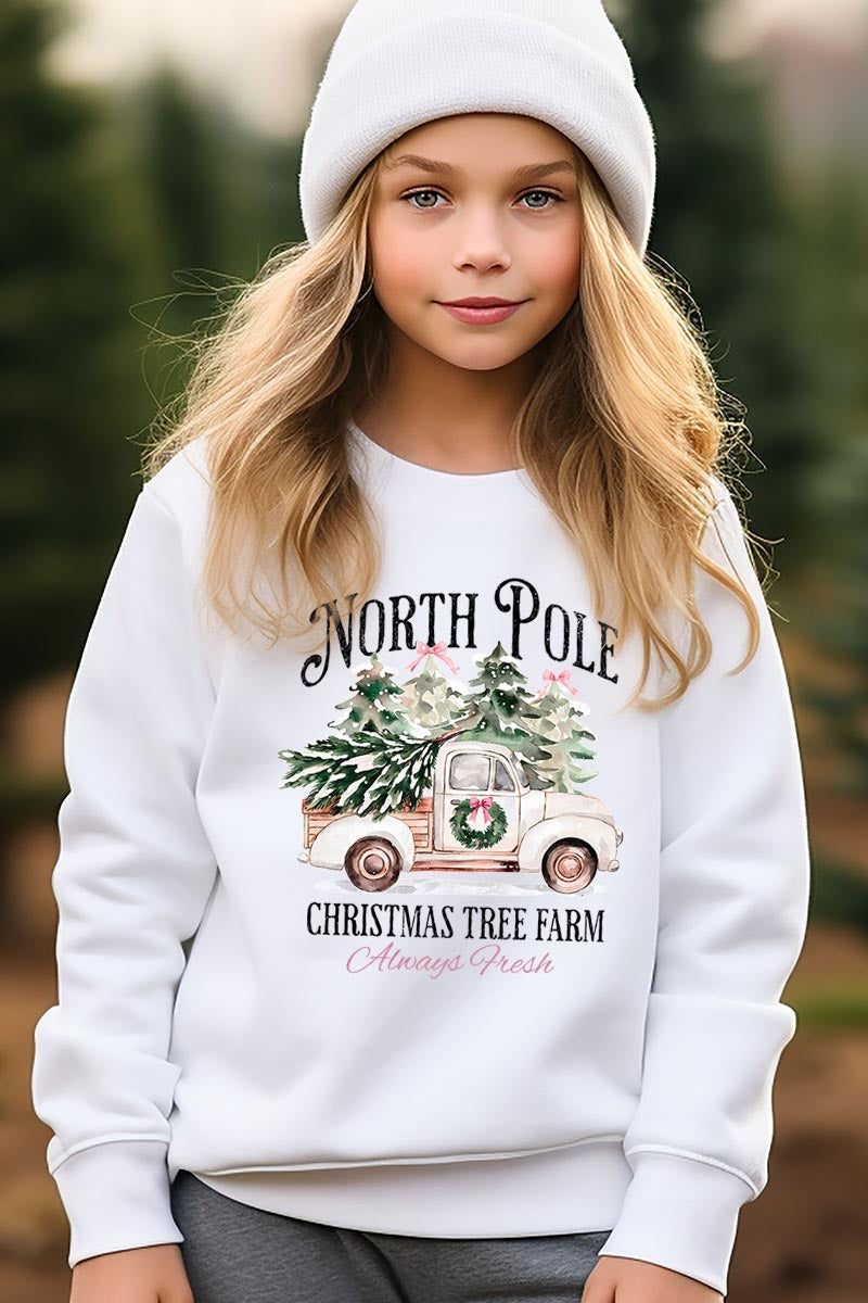 UL180B-E3174Z North Pole Christmas Kids Graphic Sweatshirt $20