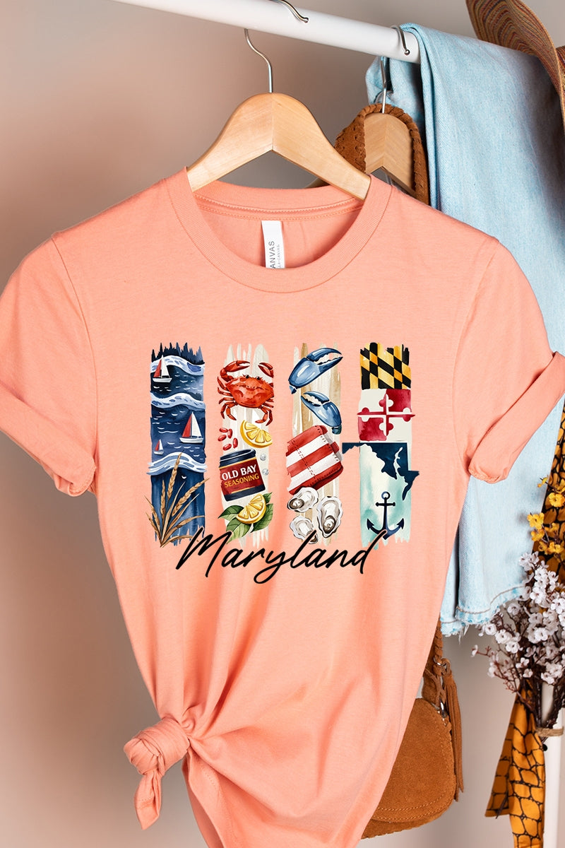 US3001P-E3061MD Maryland State Brushstroke Graphic Plus Tee $16