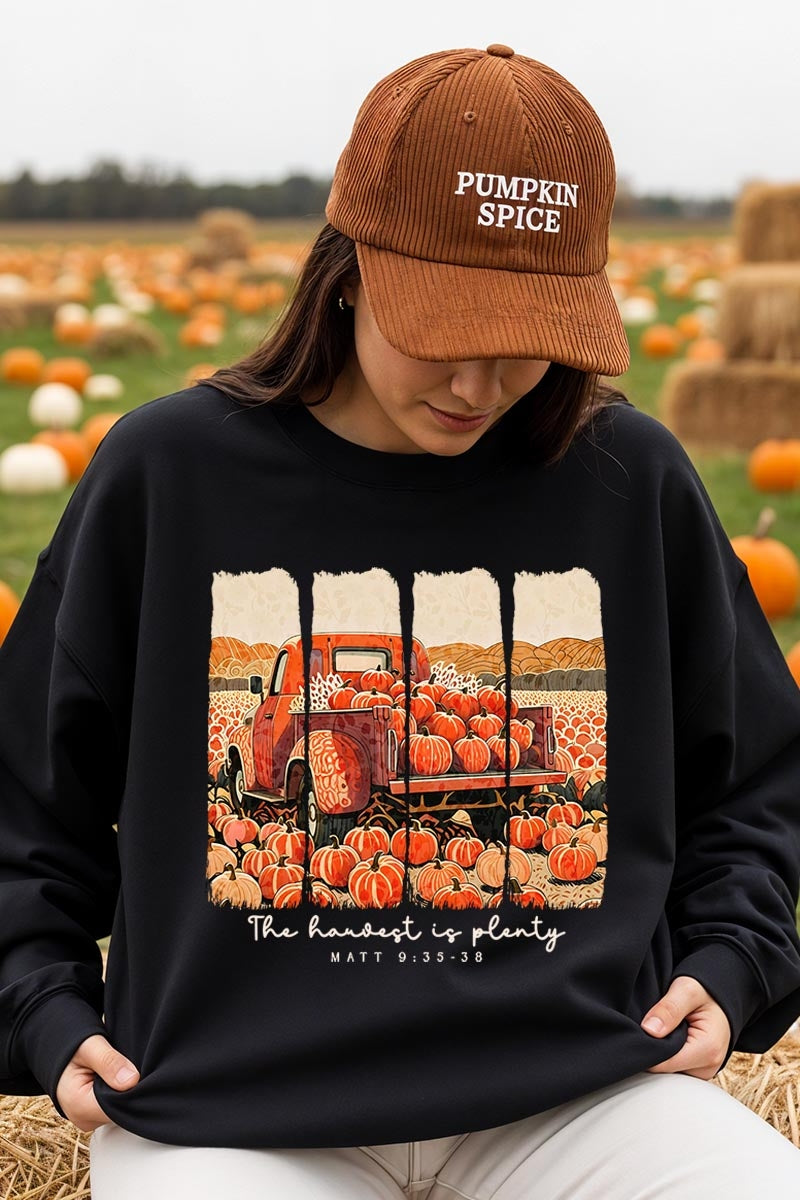 UL180-E3172 Harvest Is Plenty Graphic Sweatshirt $20